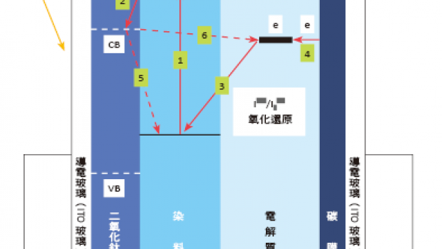article_pic