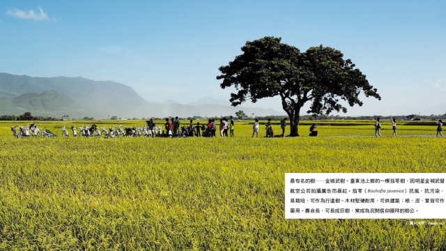 article_pic