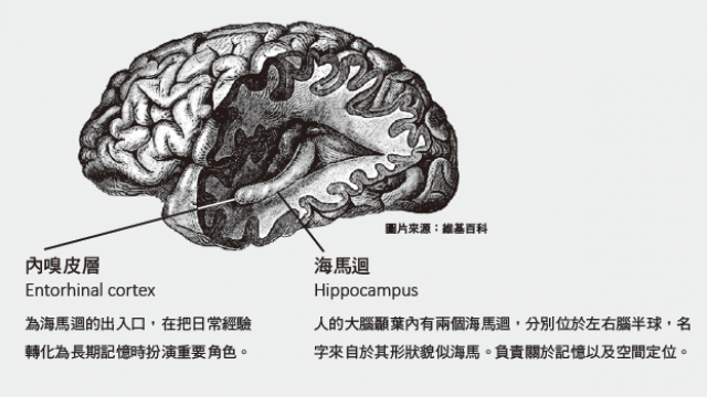 article_pic