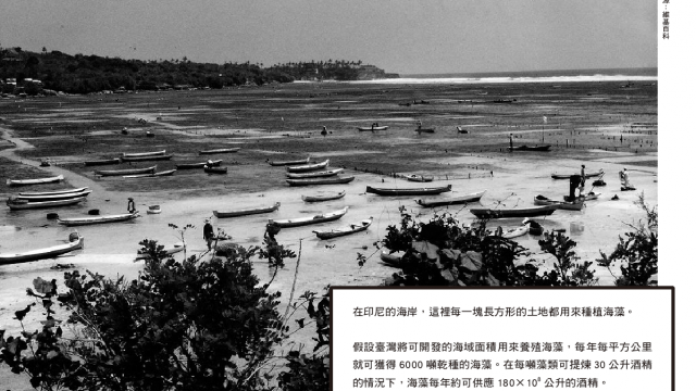 article_pic