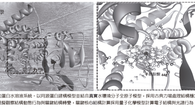 article_pic