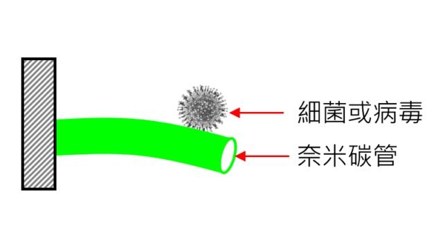 article_pic
