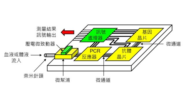 article_pic