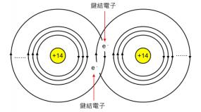 article_pic