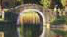 article_pic